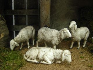 Nativity Pesebre Landi Sheep use w/ Fontanini Figurine