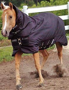 RAMBO QUARTER HORSE TURNOUT Size 76 WATERPROOF WITH FULL NECK