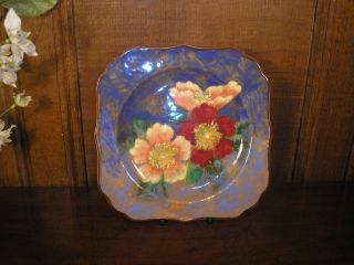 EXCELLENT Royal Doulton WILD ROSE hand painted DOROTHY DESSERT PLATE 
