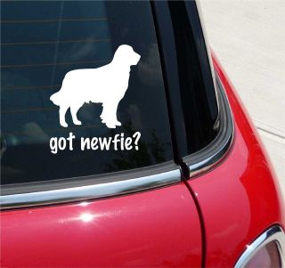 GOT NEWFIE? NEWFOUNDLAND DOG GRAPHIC DECAL STICKER VINYL CAR WALL