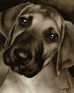 great dane puppy painting art signed by artist djr time
