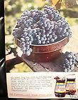 vintage 1960 kraft concord grape jelly preserves ad enlarge buy