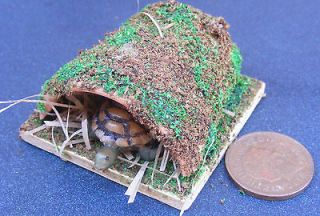 12 Scale Tortoise In A Broken Pot Dolls House Miniature Garden 