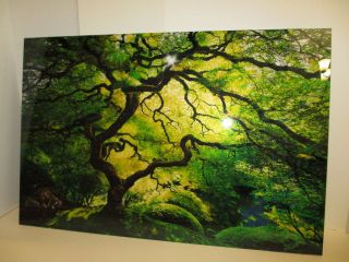 PETER LIK INNER PEACE 26H x 40W   LIMITED EDITION    #11 
