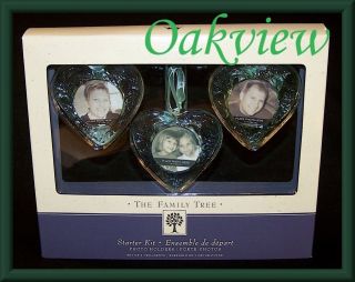   Family Tree Glass Hearts Starter Kit NIB Set of 3 Photo Holders