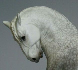 Unpainted Resin Horse   Traditional Scale Spanish