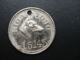 1930 latvia doberman pincher dog tag token riga from estonia
