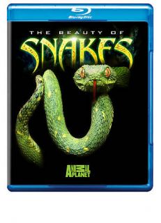 The Beauty of Snakes (Blu ray Disc, 2009