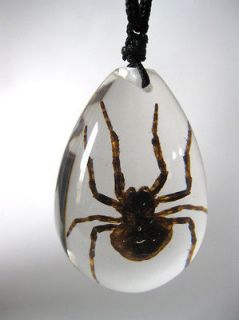 Newly listed Real Spider Insect Glass Goth Necklace & Pendant Strange 