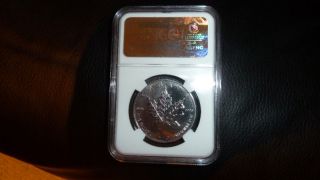 palladium one ounce coins proof and ms pcgs ngc pr69