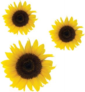 Sunflower flower Stickers,car, van, wall art, laptop Wheelie Bin 