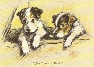 wire fox terrier puppy matted dog print lucy dawson  12 50 