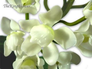 12 White Hawaiian/Vanda Artificial Silk rare Orchid Flower Stem Plant 