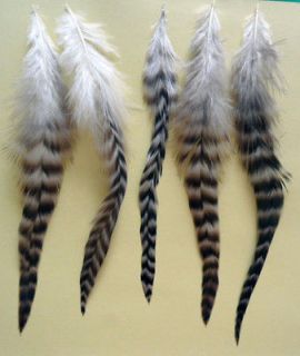 20pcs Natural Barred Plymouth Rock Chickens Feathershair Extensions 6 