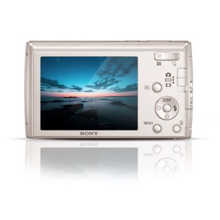 Sony Cyber Shot DSC W510 12 1 MP Digital Camera Silver