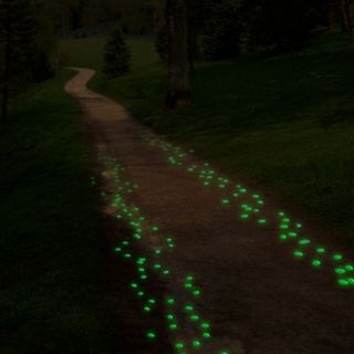 100 Green Glow in The Dark Pebbles Rocks for Walkways Decor Driveways 