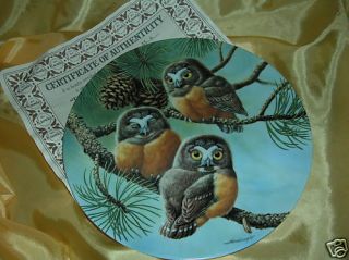 Knowles  Forty Winks Saw Whet Owls  NBRD Plate