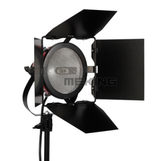 Continuous Lighting Redhead Light 800W for Film Camera