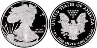   25th Anniversary American Eagle Silver Coin Set 5 Coins A25 Raw