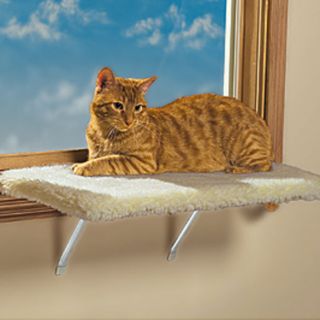   Cats Love It Padded Hardwood Top Removable Acrylic Cover New