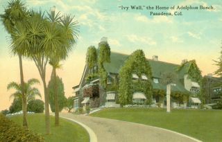 Pasadena CA Ivy Wall The Home of Adolphus Busch 1921