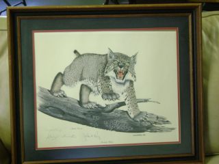 Kentucky Wildcat Print Adolph Rupp Signature Gene Gray UK National 