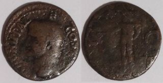 Roman bronze As; Agrippa; Neptune holding dolphin; REDUCED PD