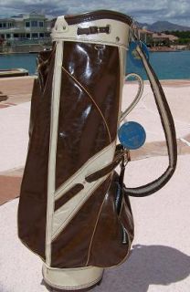 Vtg Ajay Richard Milton Co Vintage Golf Bag Shoulder Carry Travel Bag 