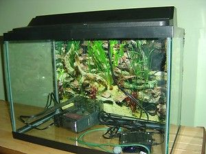 All Glass 20 Gallon Aquarium Fish Tank Used