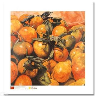 Pedro Diego Alvarado Rivera Oranges from The Orchard