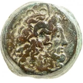 Ptolemy VI Zeus Ammon Eagle Æ Bronze Coin Greek Ptolemaic Kings of 