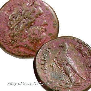 PTOLEMY III ZEUS Ammon HUGE 43mm 66g Bronze Coin Greek PTOLEMAIC Kings 