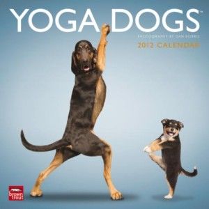 yoga dogs puppies 2012 square wall calendar