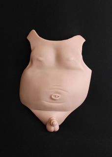 Reborn Baby Boy Dolls Anatomically Correct Tummy Plate by Joanna Gomes 