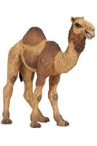 Papo Dromedary Camel Toy Figure Wild Animal New 50105