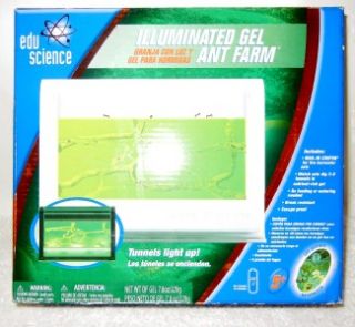 Illuminated Gel Ant Farm Edu Science Age 5+ Includes LED Light Coupon 