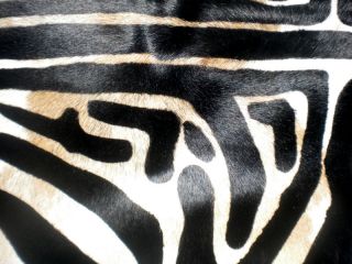 Zebra Print Printed Cowhide Skin Rug Cow Hide DC3415