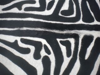 Zebra Print Printed Cowhide Skin Rug Cow Hide DC3444