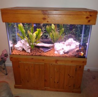 90 Gallon Aquarium with Oak Stand and Canopy Everything You Will Need 