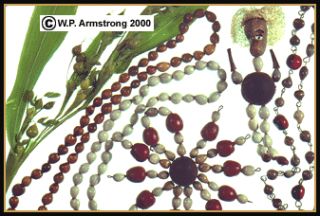 Jobs Tears 8mm Seed Beads Carmelite Nuns Rosary Skull