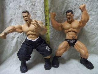 WWE Action Figure John Cena The ANIMAL BATISTA RING GIANTS large 
