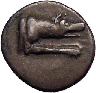 Argos Achaean League 228BC Silver Ancient Greek Coin Forepart of Wolf 