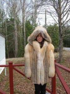 Fabulous Golden Island Fox Fur Coat Parka Stroller with A Hood 10 12 L 