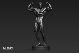 Arnold Schwarzenegger Bodybuilding Statue Pumping Iron not Sideshow 