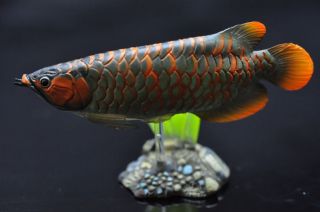 Yujin Fish Capsule Part 1 Secret  Asian Arowana 