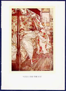 1900s Arthur Rackham Aesops Fables Book Art Plate Venus and The Cat 