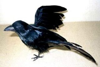 PC Artificial Black Feather Crows Fake Decorative Halloween Crow New 