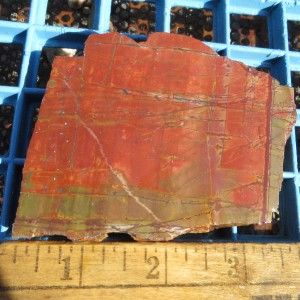 red cherry creek jasper rough slab for cabbing