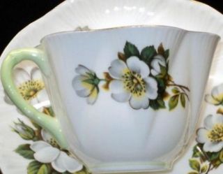 Shelley White WILD ROSE Dogwood Dainty Tea cup and saucer Teacup