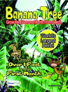 Grow Your Own Banana Tree Seeds Package Educational